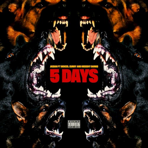 5 Days