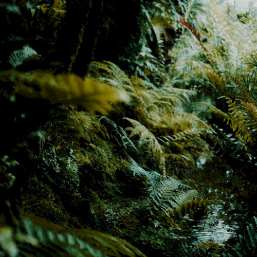 Breathe In (Reimagined)