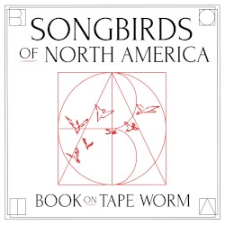 Songbirds of North America