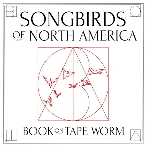 Songbirds of North America