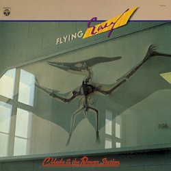 Flying Easy
