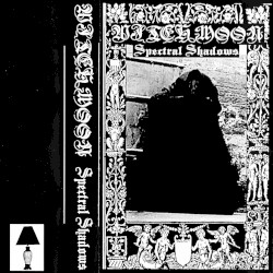 Spectral Shadows