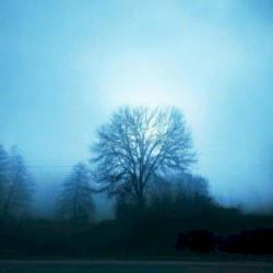 Midnight Love