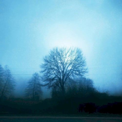 Midnight Love
