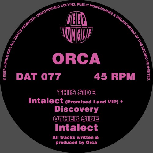 Intalect / Promised Land VIP / Discovery