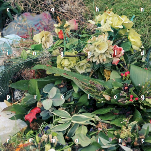 Remains