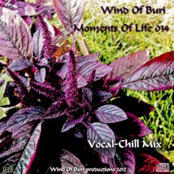 Moments of Life 034 (vocal - Chill MIX)