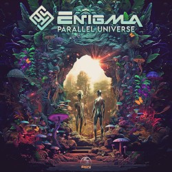 Parallel Universe