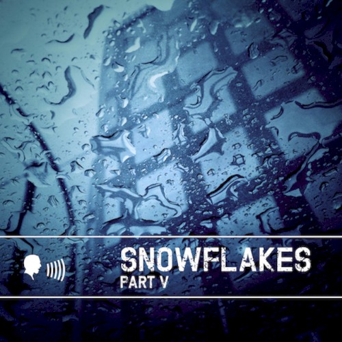 Snowflakes V