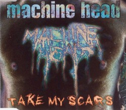 Take My Scars