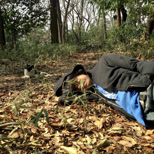 Hikari No Obake (Ghost of Light)
