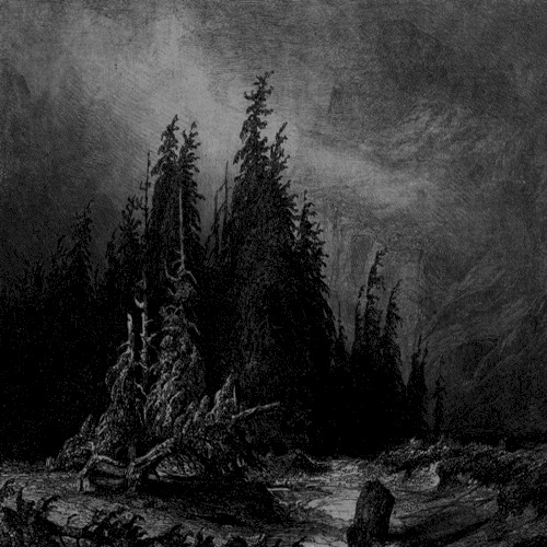 Empyreal Woods
