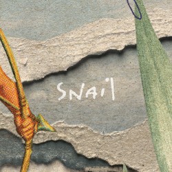 Snail