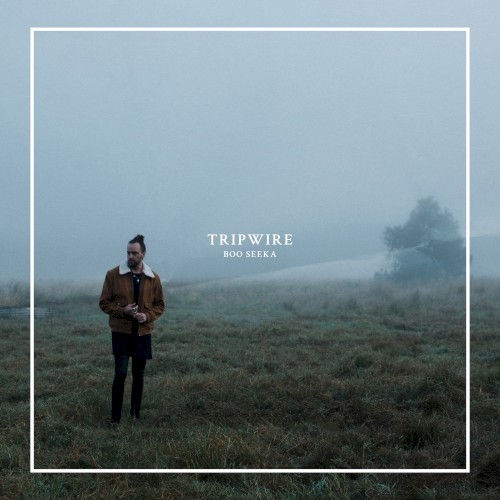 Tripwire