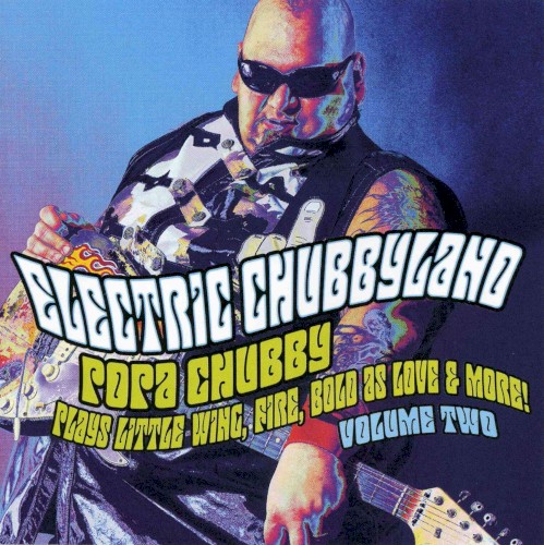 Electric Chubbyland Volume Two