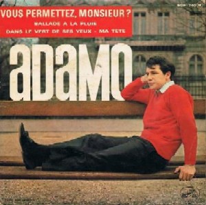 Vous permettez, monsieur ?