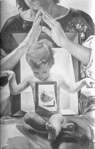 The Cradle