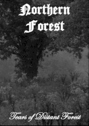 Tears of Distant Forest
