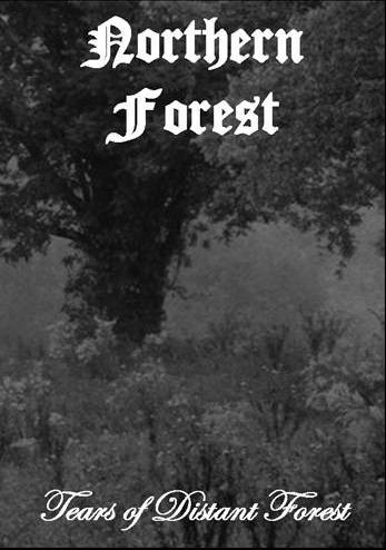 Tears of Distant Forest