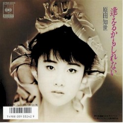 逢えるかもしれない