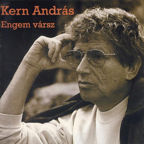 Engem vársz (Leonard Cohen dalai magyarul)