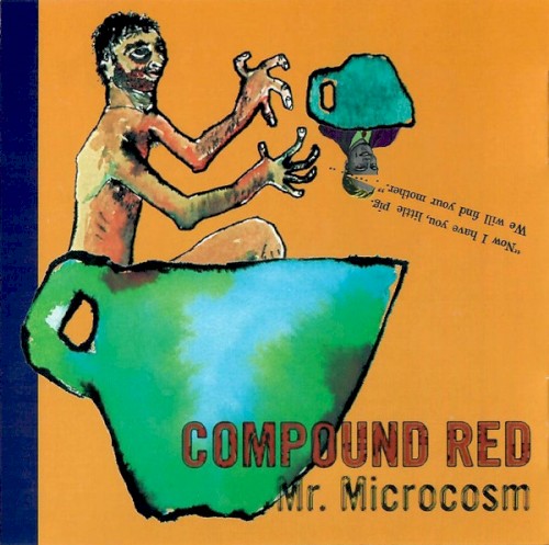 Mr. Microcosm