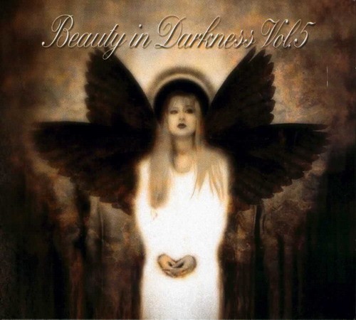 Beauty in Darkness, Volume 5