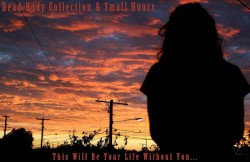 This Will Be Your Life Without You...
