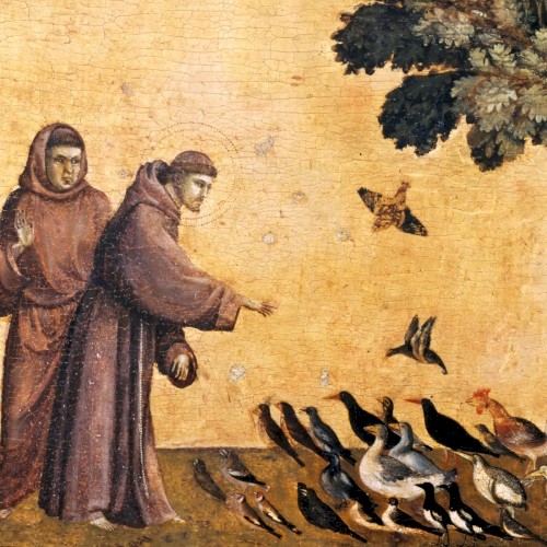 The Flowers of St. Francis