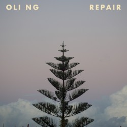 Repair