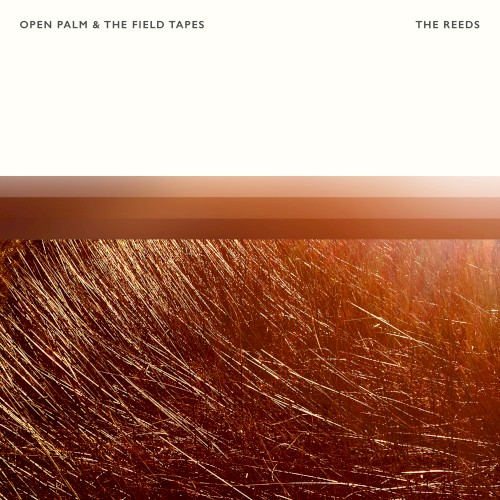 The Reeds
