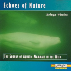 Echoes of Nature: Beluga Whales