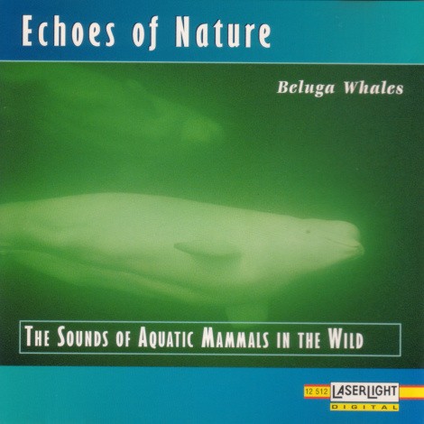 Echoes of Nature: Beluga Whales