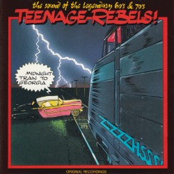 Teenage Rebels! - Midnight Train to Georgia