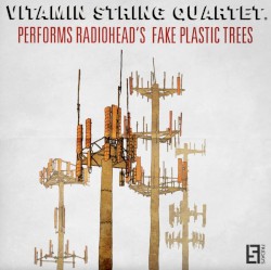 VSQ Performs Radiohead's Fake Plastic Trees