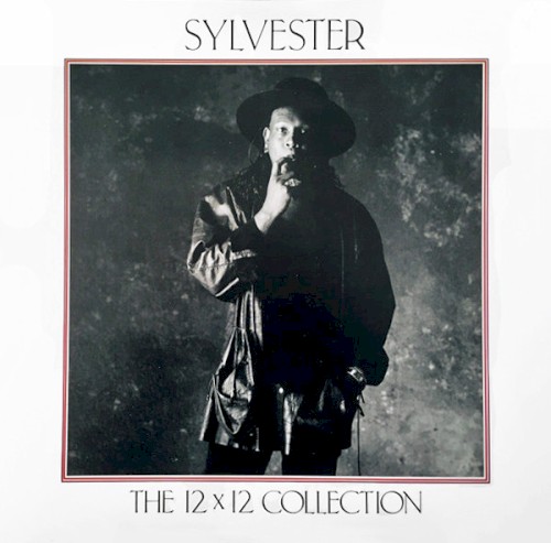 12 x 12 Collection