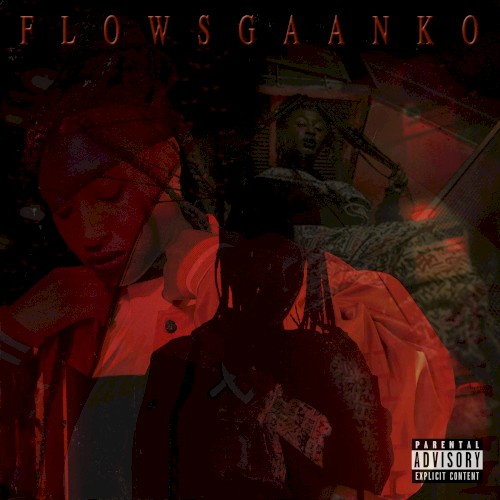 Flowsgaanko