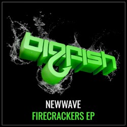 Firecrackers EP