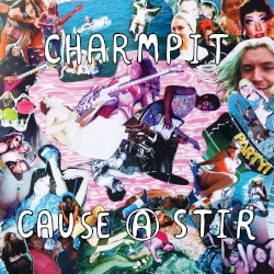 Cause a Stir