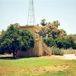 melencolia i