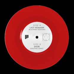 Last Remark (Blackbird Sessions) / Deer (original demo)