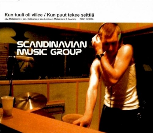 Kun tuuli oli viilee / Kun puut tekee seittiä