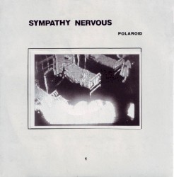 Polaroid