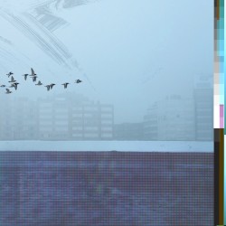 Inference/Interference