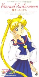 美少女戦士セーラームーン セーラースターズ キャラクターソング エターナルセーラームーン 愛をしんじてる