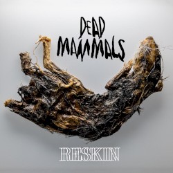 Reskin
