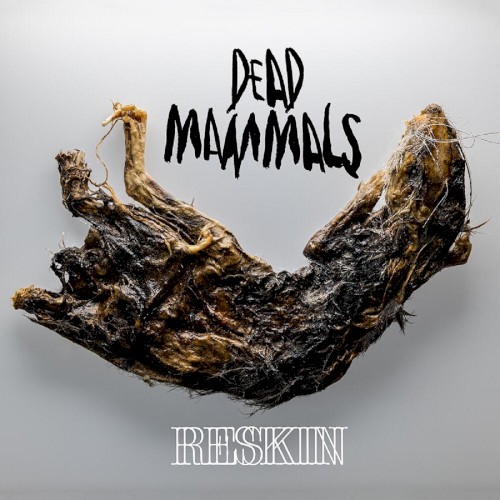 Reskin