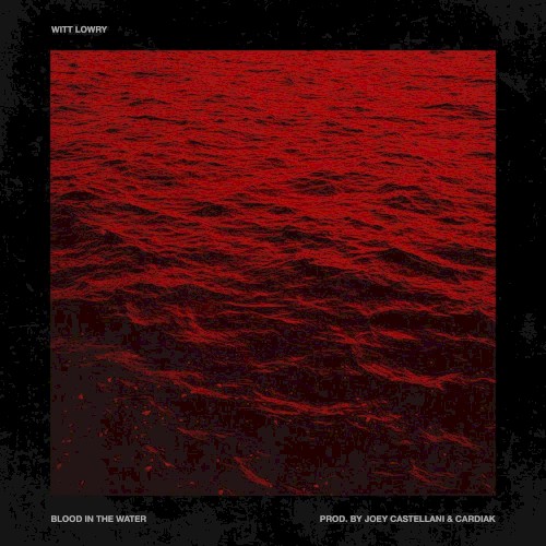 Blood in the Water