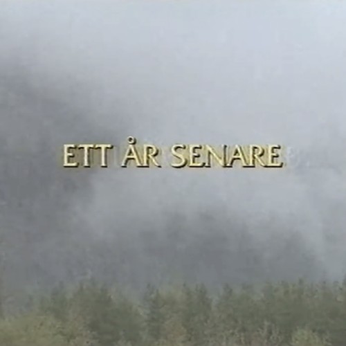 ETT ÅR SENARE