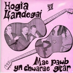 Mae Pawb Yn Chwarae Gitâr